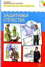 Демонстрационный материал "Рассказы по картинкам. Защитники Отечества" РОЗНИЦА