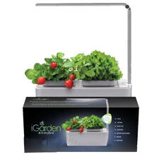 Компактный смарт-сад iGarden LED с подсветкой