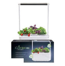 Компактный смарт-сад iGarden PRO с подсветкой