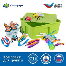 Юный энтомолог в детском саду